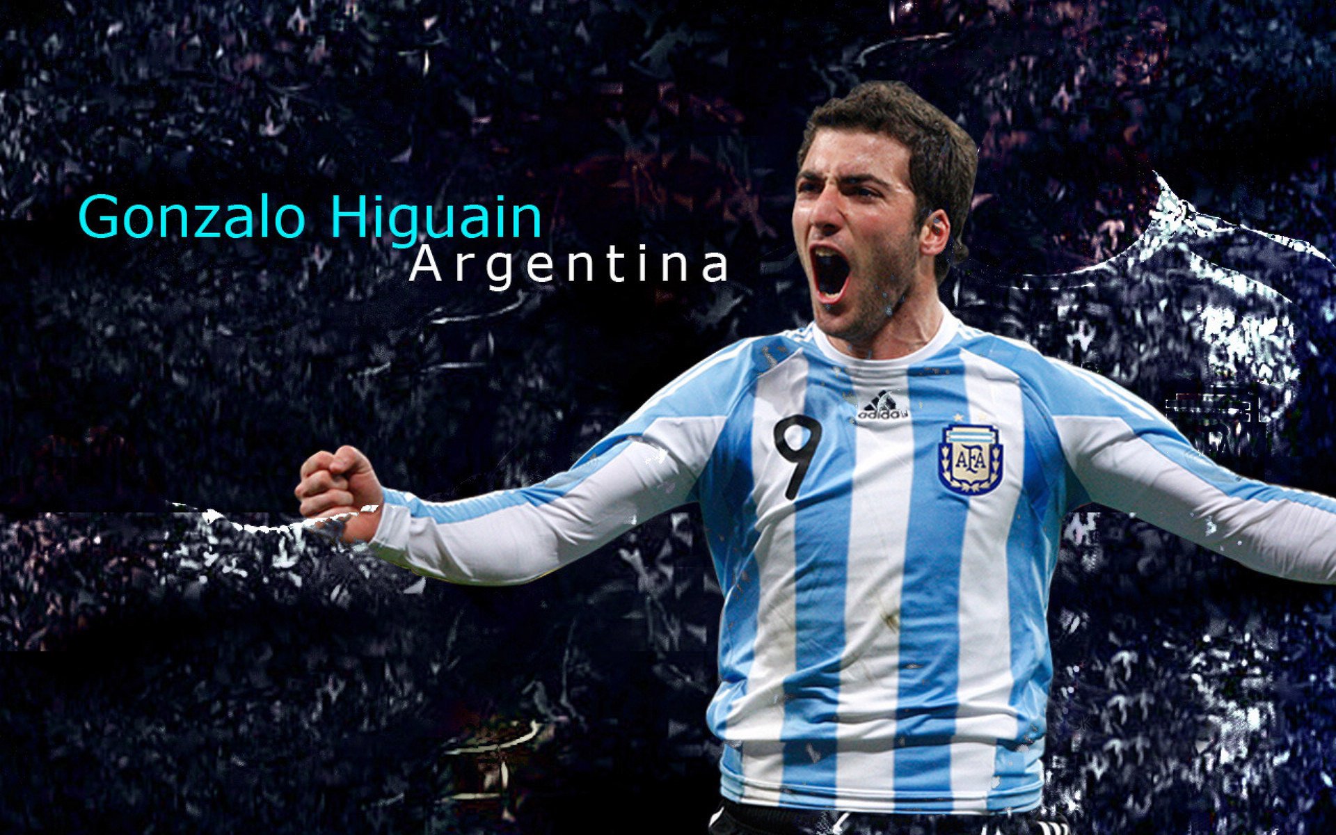 伊朗马术协会推出马术运动员健康管理系统，关注运动员身心健康。